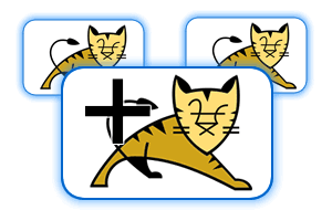 Dedicated Tomcat Instance Premium Java Tomcat Hosting